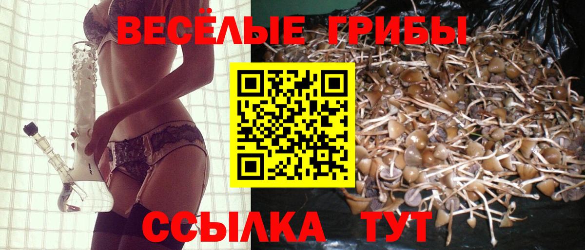 Пушкино  Галлюциногенные грибы MAGIC MUSHROOMS  как найти закладки  Псилоцибиновые грибы Magic Shrooms  Вход с VPN 